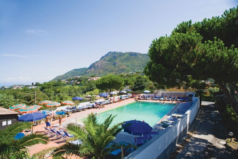 Hotel Al Bosco - mese di Gennaio - Ingresso offerte-Isola d'Ischia